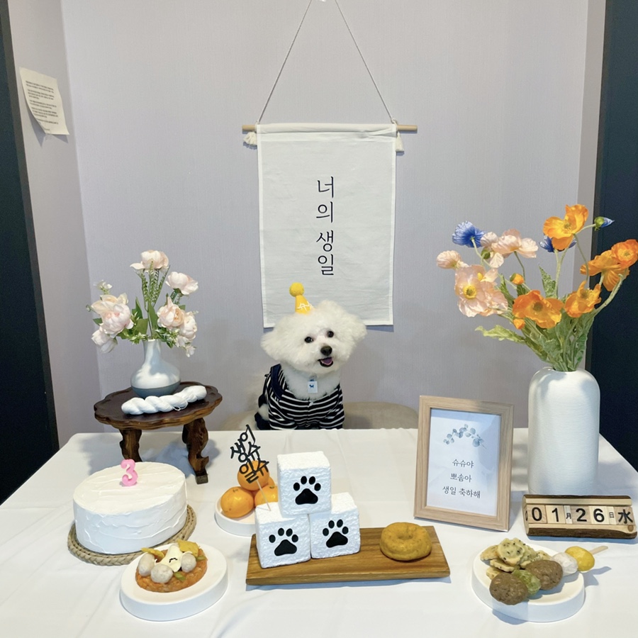 슈슈펜션 이미지