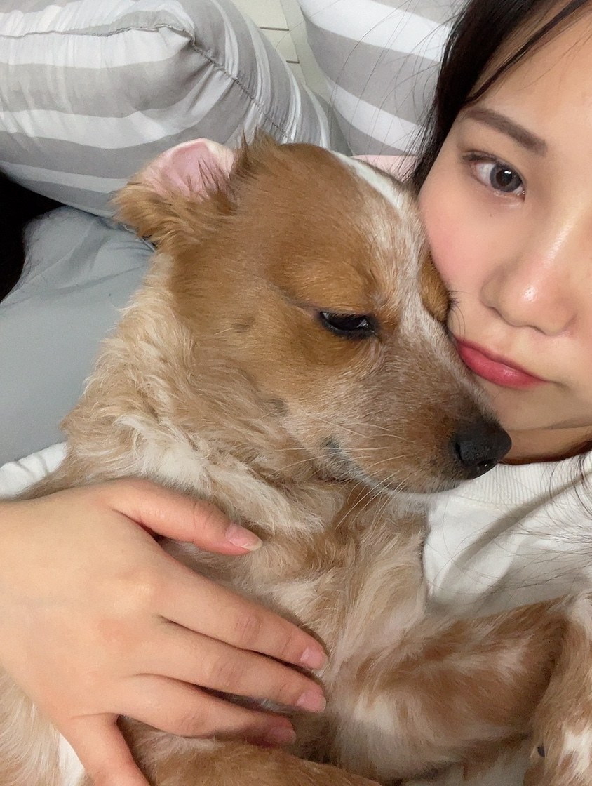 캐빈네일 이미지