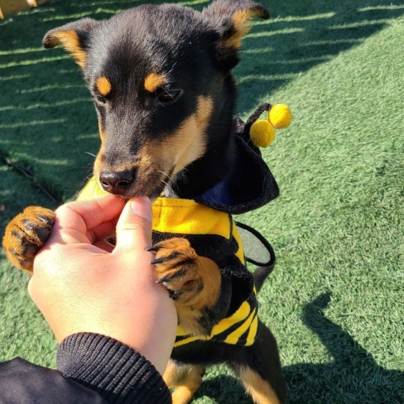 깔끔이이모 이미지