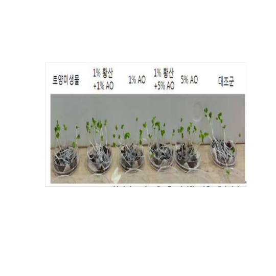 황산제이 이미지