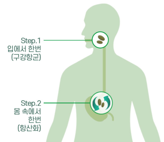 그린정수 이미지