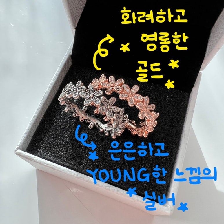 신신플라워 이미지