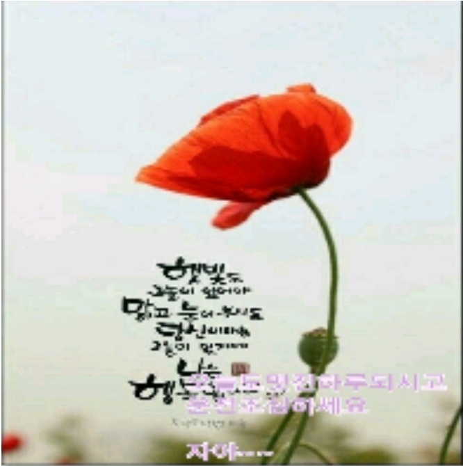 아름다운향기 이미지