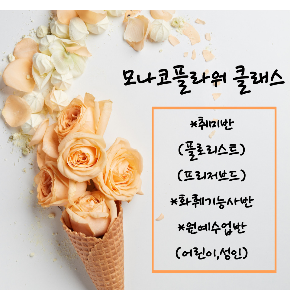 모나코플라워 이미지