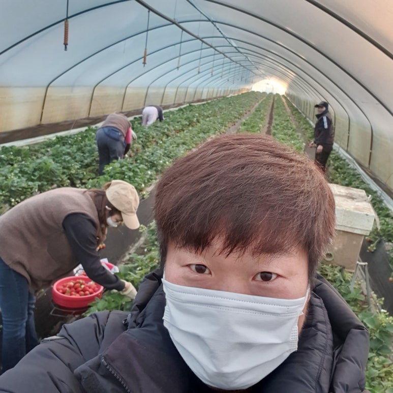 해피인력 이미지