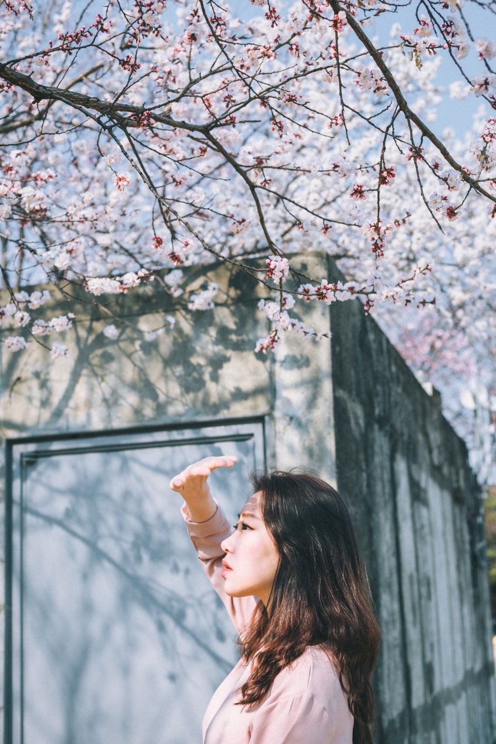 삼천통상 이미지