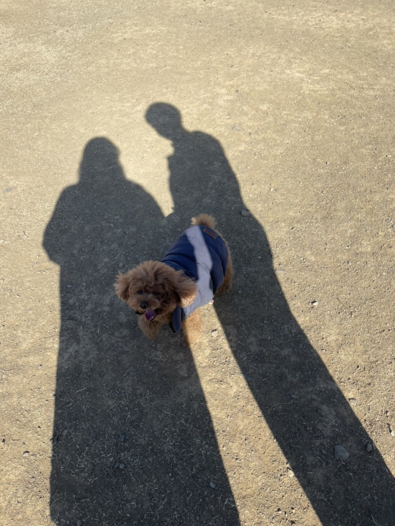 다사공원 이미지