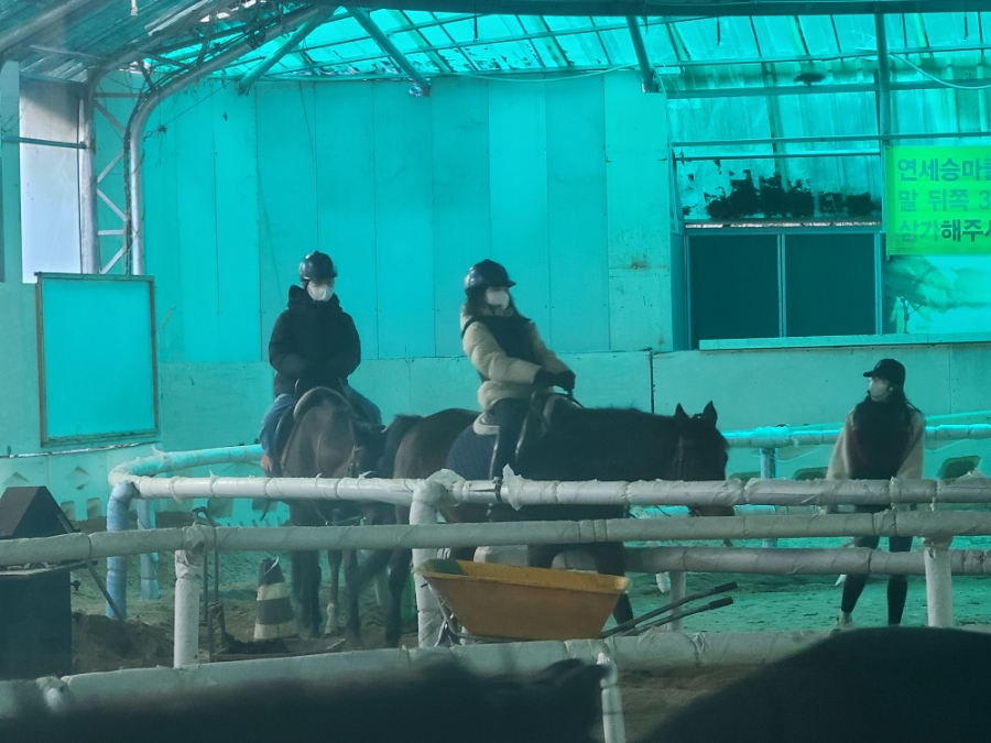 연세승마클럽 이미지