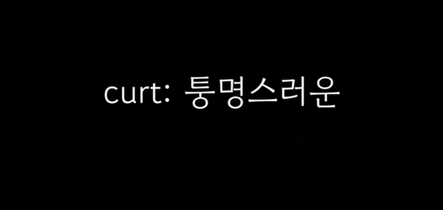 파파랜드 이미지