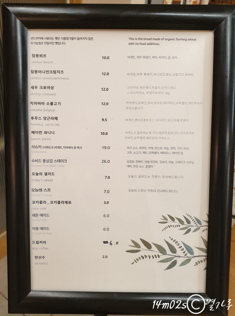 페트리코 이미지