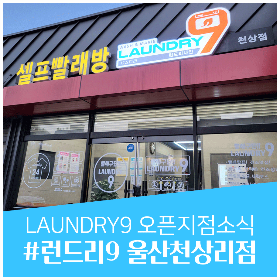런드리9 이미지