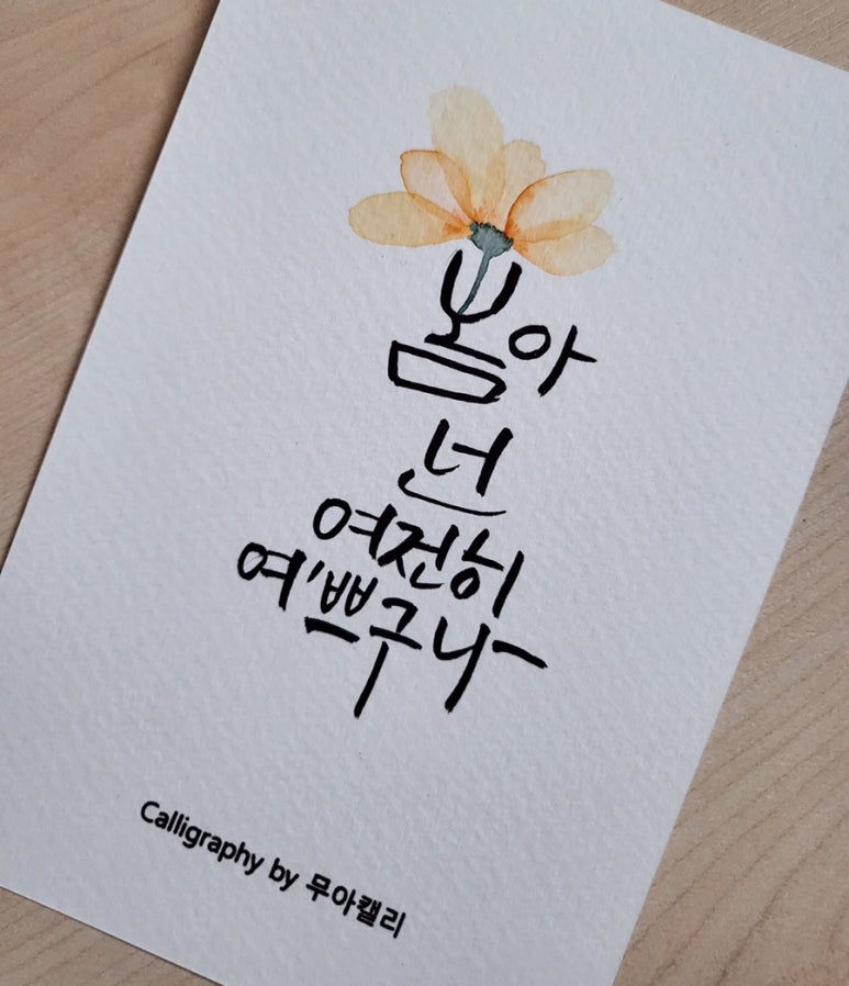 무아캘리그라피 이미지
