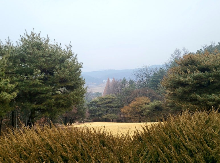 나라오이코스(주) 이미지