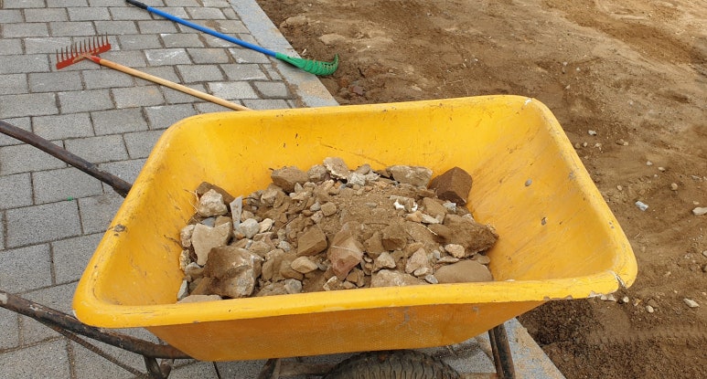 조치원교동초등학교 이미지