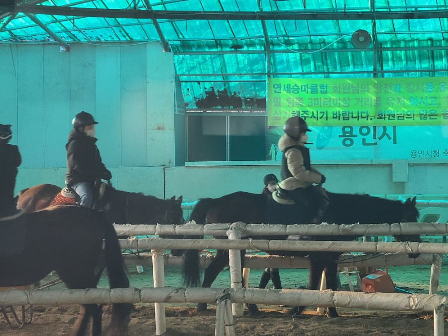 연세승마클럽 이미지