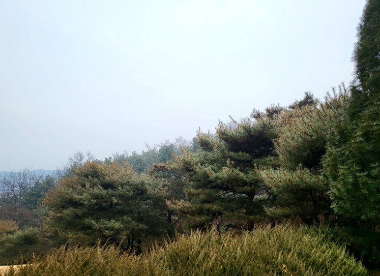 나라오이코스(주) 이미지