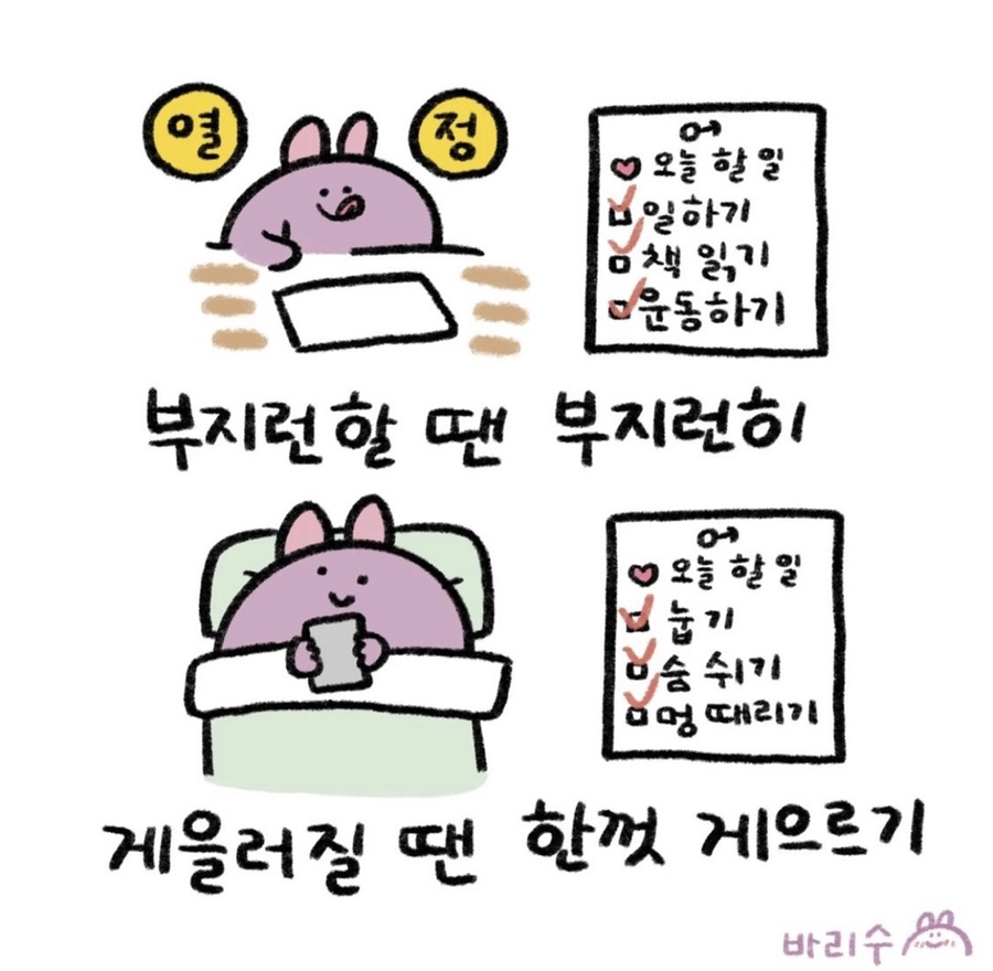 수투 이미지