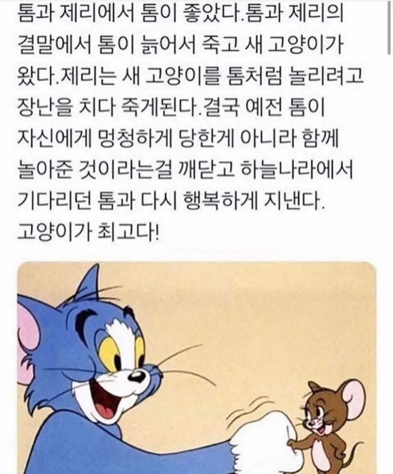 톰과제리 이미지