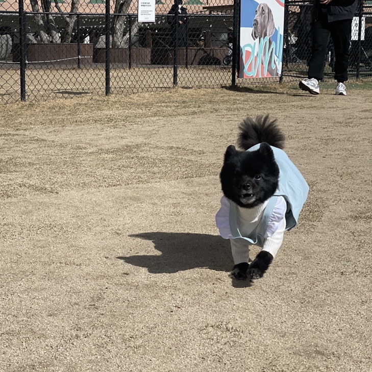 골드게임장 이미지