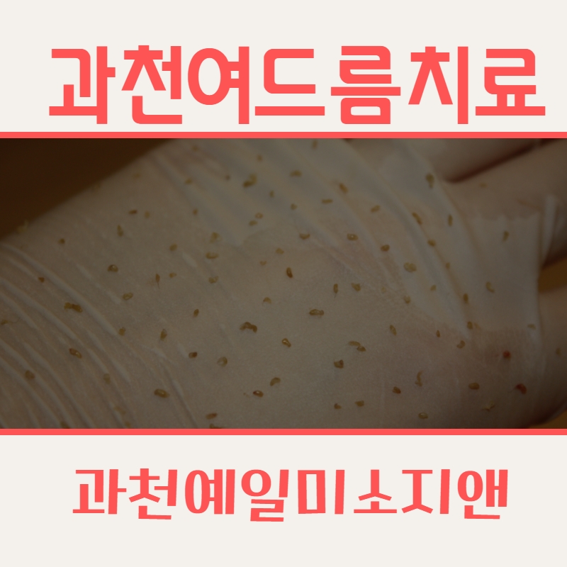 지앤의원 이미지