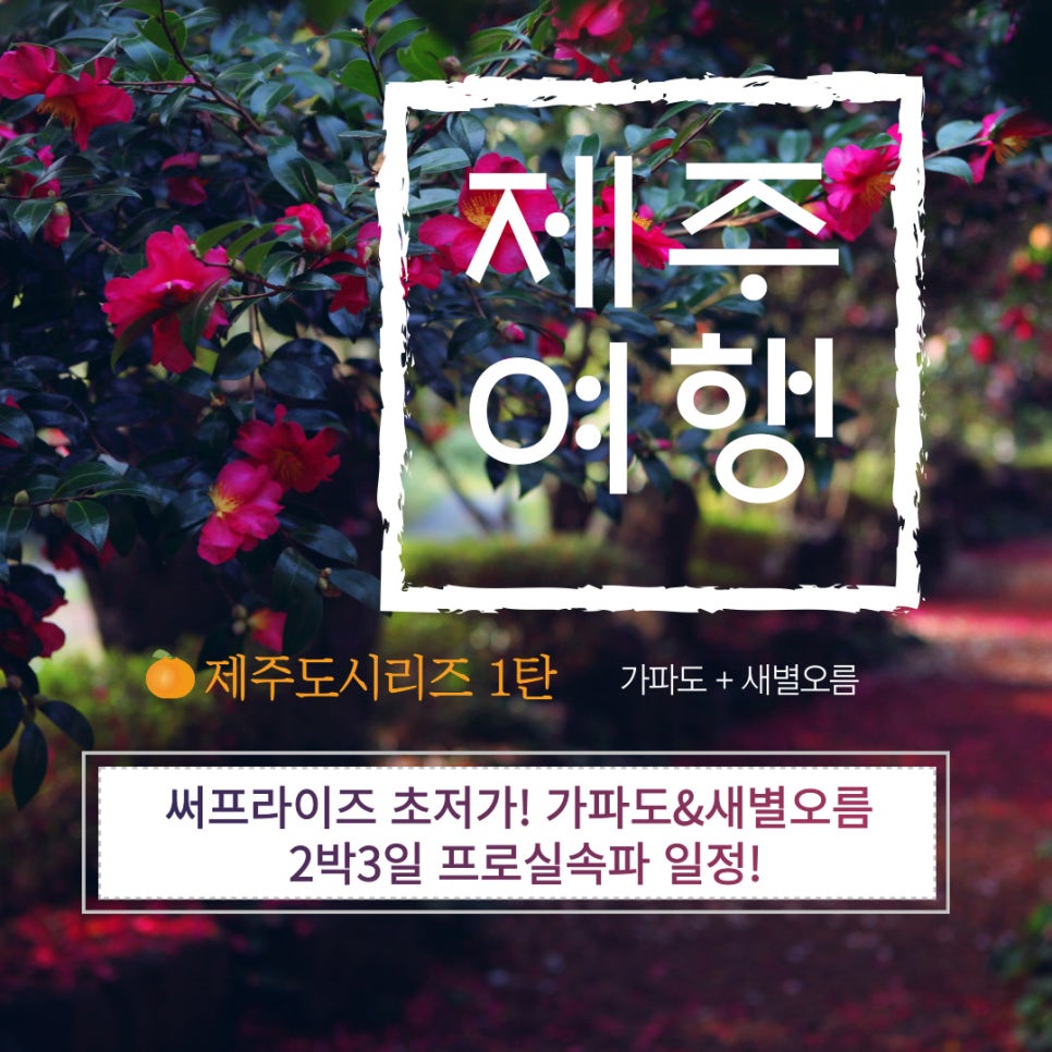 힐링투어라인 이미지