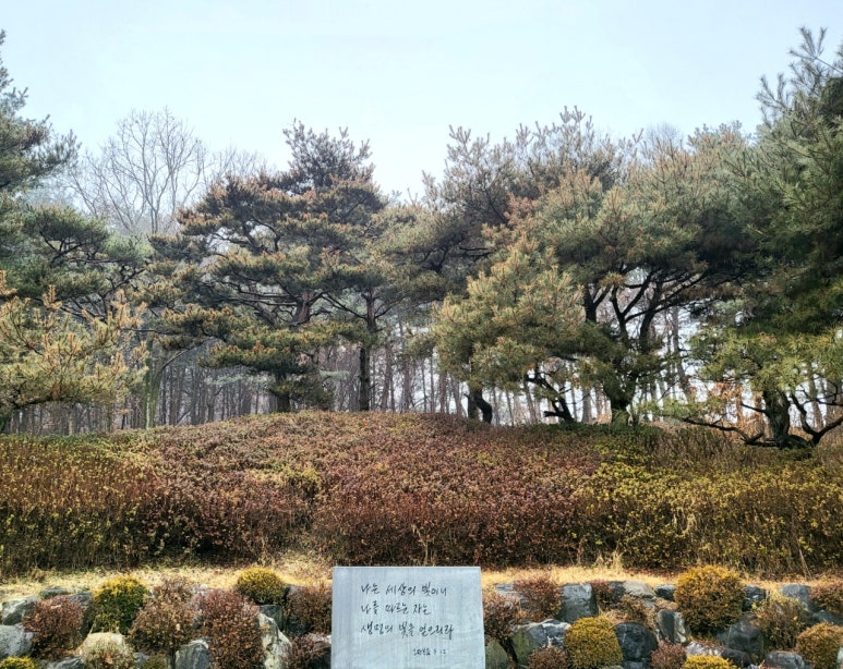 나라오이코스(주) 이미지