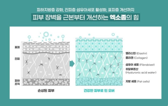 제네시스성형외과의원 이미지