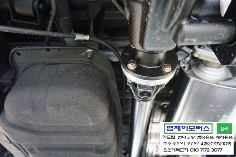젤리스프링 이미지