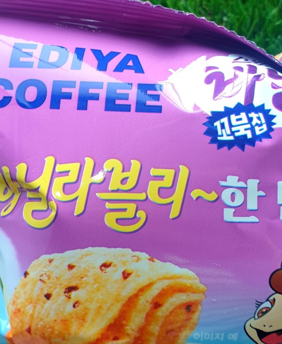바닐라블리 이미지