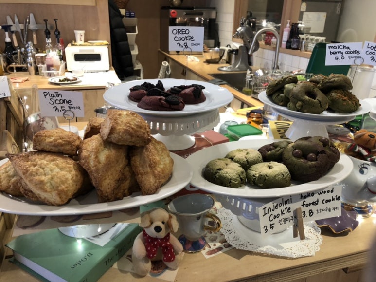 베이글펫 이미지