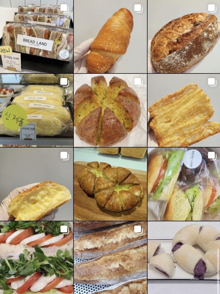 브레드랜드(BREAD LAND) 이미지