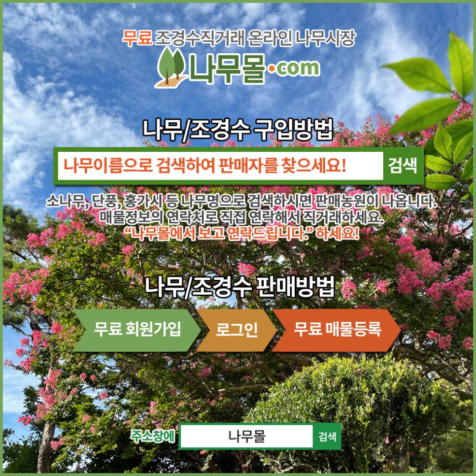 청양나무시장 이미지