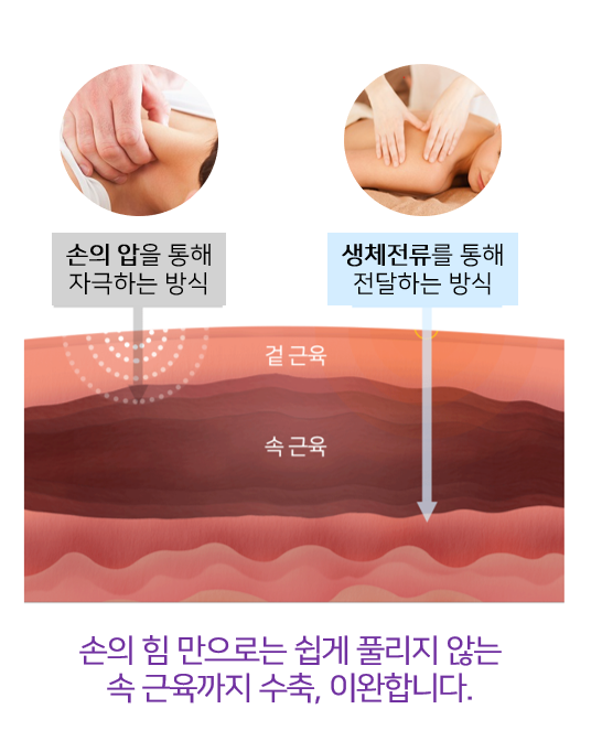 팡팡테라피 이미지