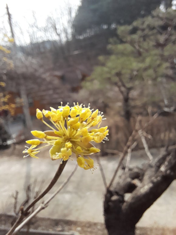 화담펜션 이미지