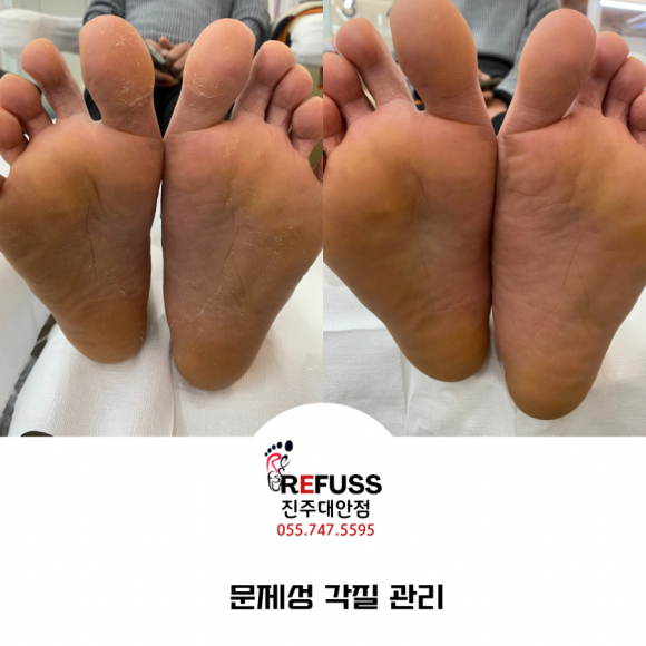 레푸스진주대안점 이미지