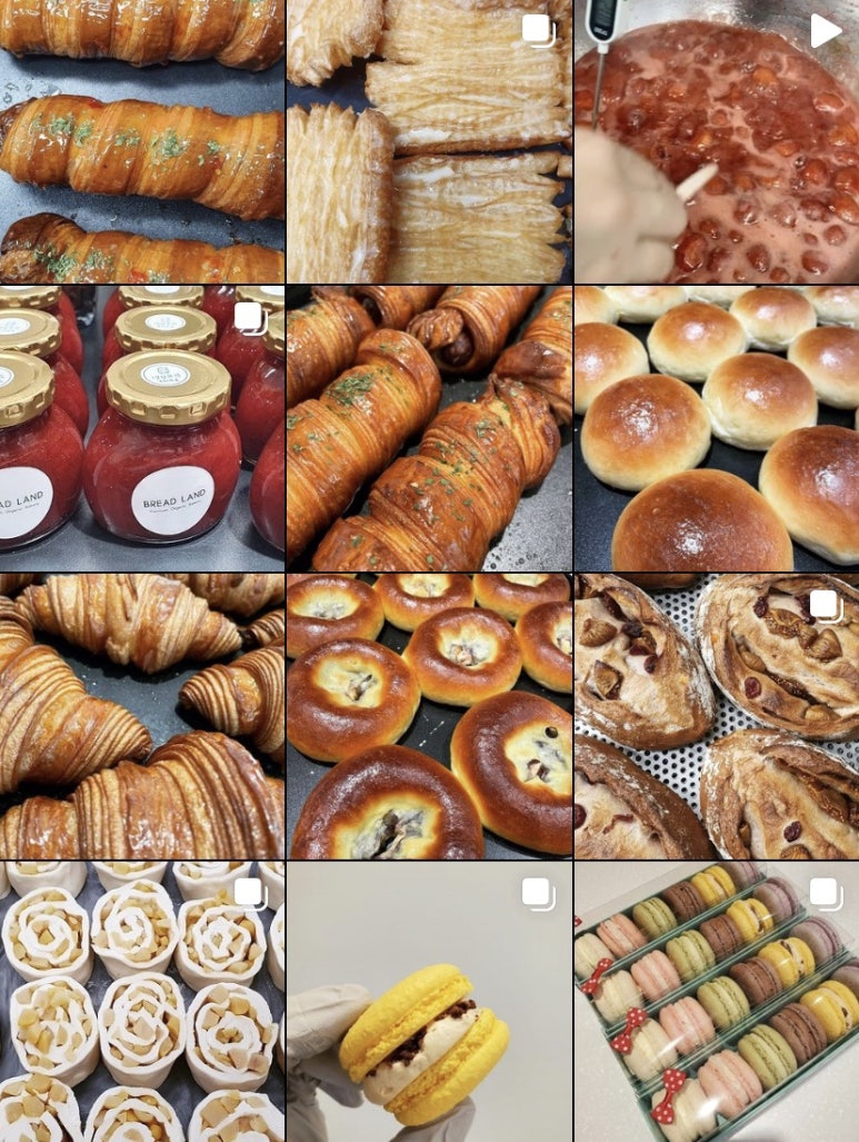 브레드랜드(BREAD LAND) 이미지