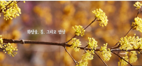 화담펜션 이미지