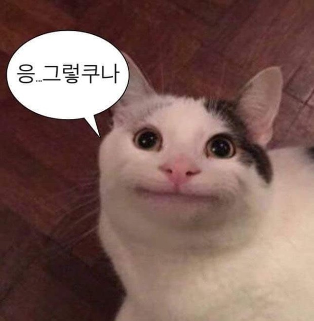 이레컴퍼니 이미지