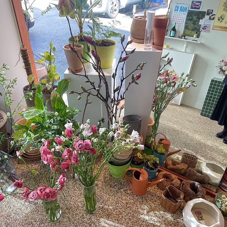 플레르솜 이미지