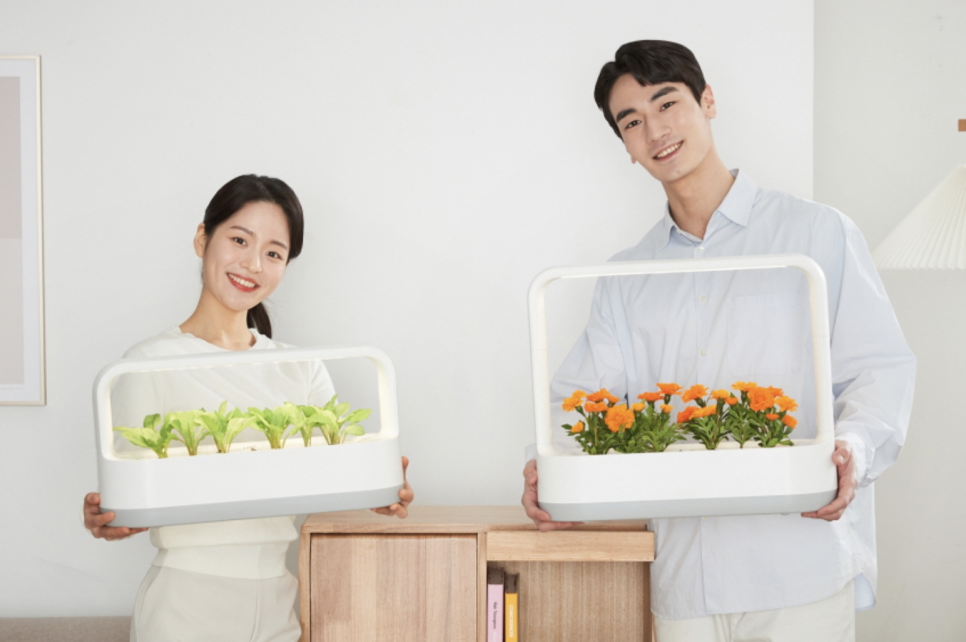 티운 이미지