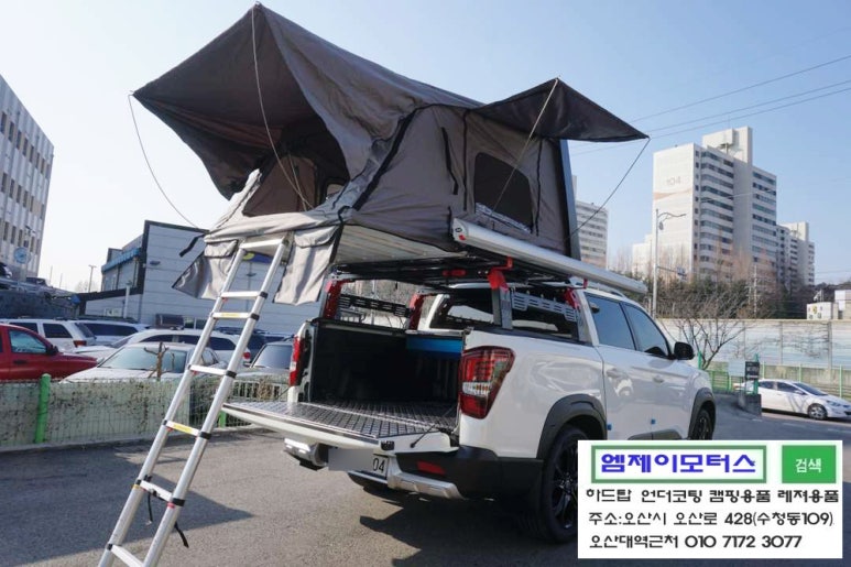 젤리스프링 이미지