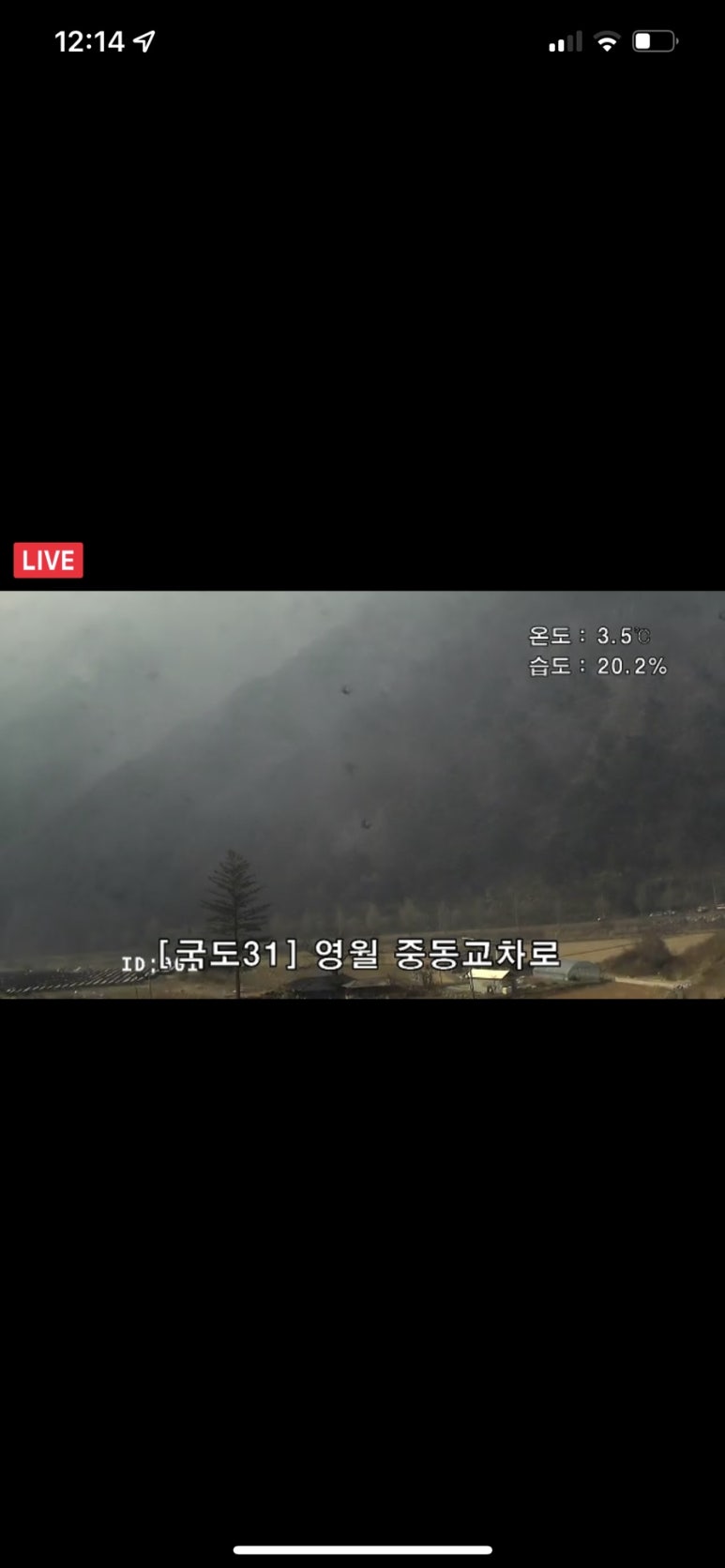 아그집쭈꾸미볶음 이미지