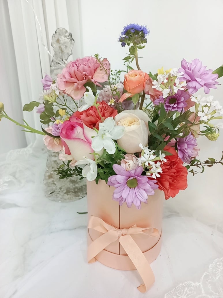 엘라임 이미지