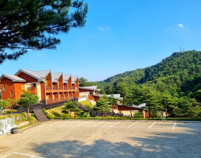 곰배령벨리 이미지