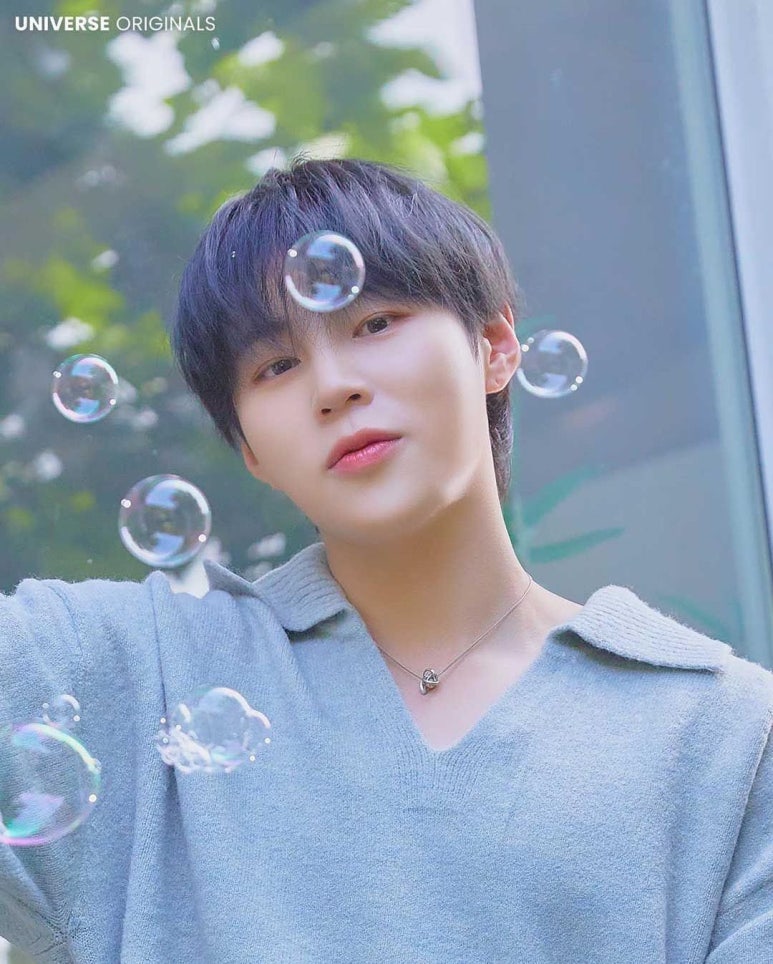 볼리즘 이미지