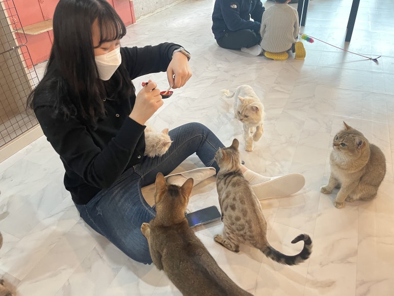 유나여행사 이미지
