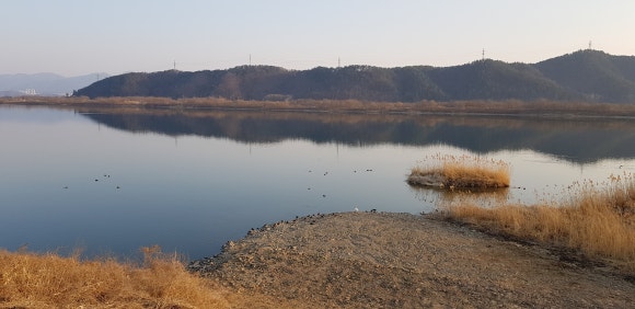 낙동강어탕매운탕 이미지