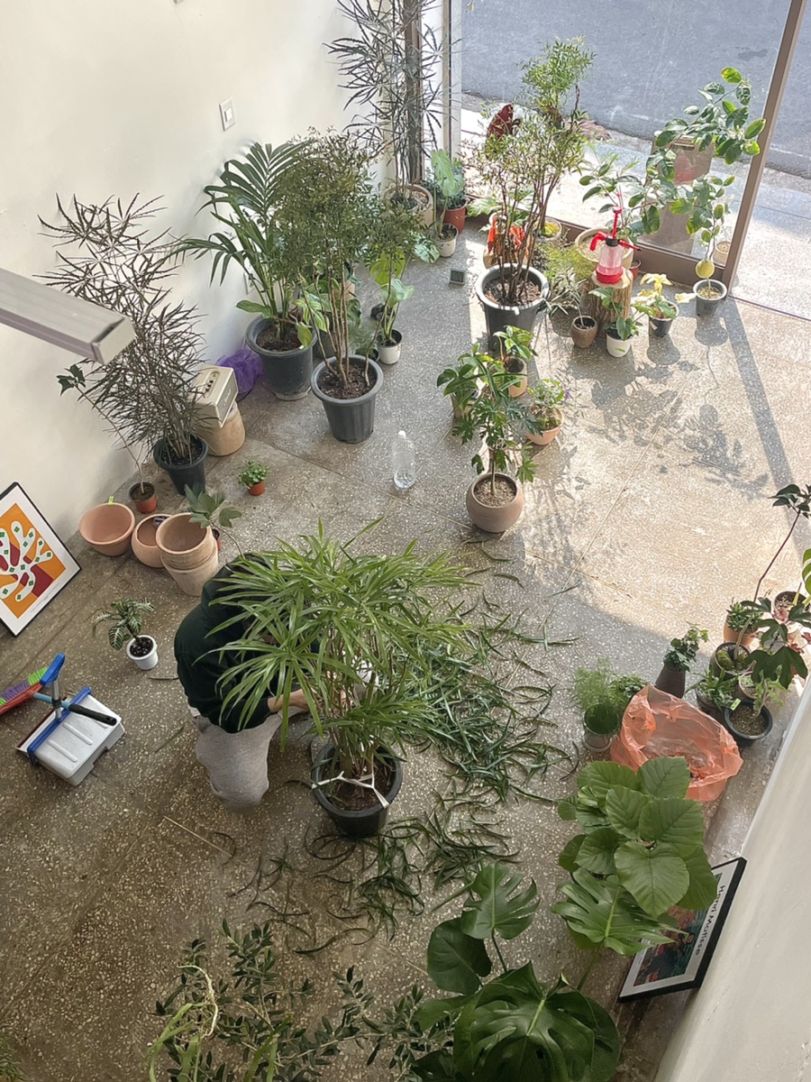 삼간상사 이미지