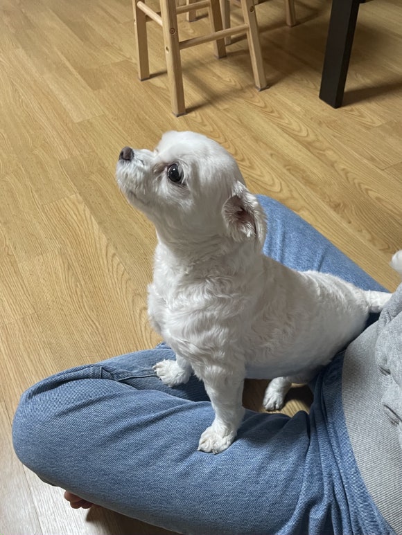 네일누아(NAIL NUA) 이미지