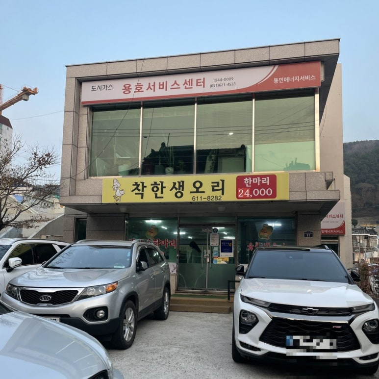 착한 생오리 이미지